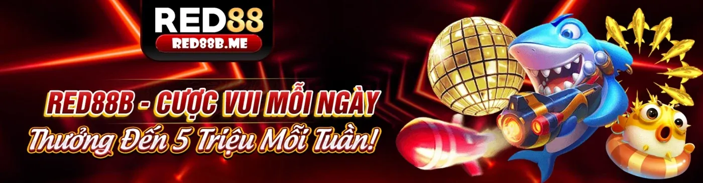 Giao diện cá cược thể thao VN88 hiển thị tỷ lệ kèo bóng đá