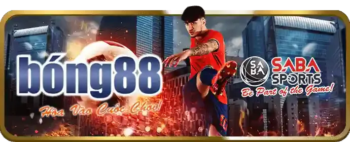 Sân vận động bóng đá sôi động